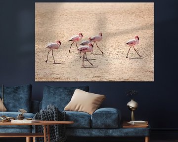 Flamants roses sur la plage sur Simone Janssen