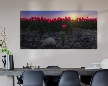 Roze tulpen en zonsondergang tulpenveld van Claudia De Vries