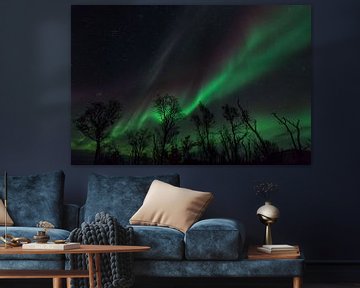 Aurora Borealis in Schwedisch Lappland von Jiri Viehmann