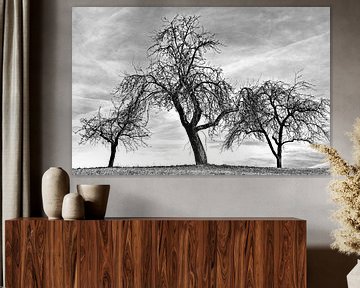 Drie fruitbomen in winter monochroom van Werner Lehmann