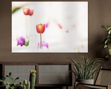 Tulpen in zarten Farben. von Ron van der Stappen