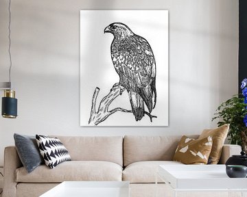 Eagle ( drawing ) by Jose Lok