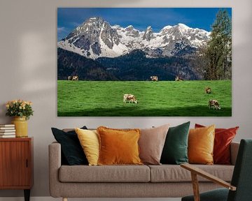 Classic alpine meadow with cows in Salzburgerland, Austria