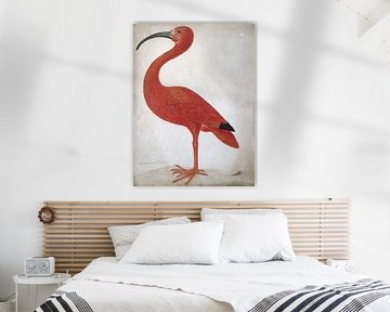 Rode ibis met een ei, Dorothea Maria Gsell