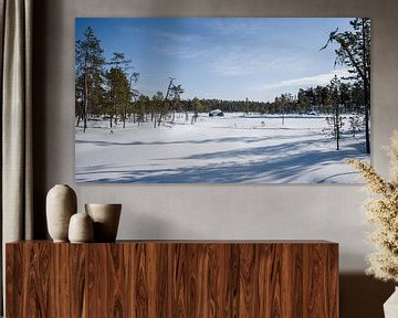 Lac d'hiver finlandais sur Timo Bergenhenegouwen