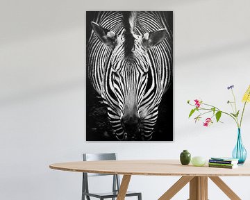 Zebra van Rob Boon