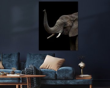 Olifant | Wildlife | Portret van Barbara Kempeneers