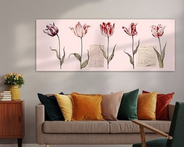 Tulpen collage uit de Collectie Six, met prijslijsten