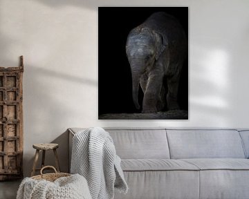 Portrait d'un bébé éléphant | Photographie de la vie sauvage sur Barbara Kempeneers