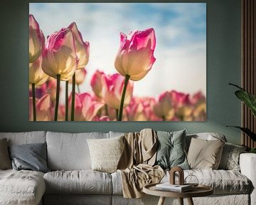 The Dutch Tulip by Truus Nijland