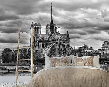 Notre-Dame of Paris in black and white by Chi