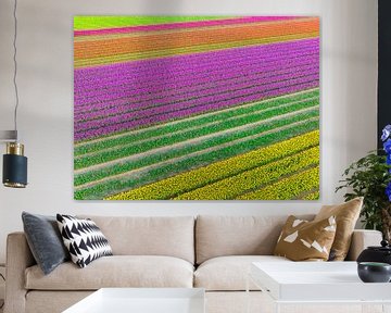 Tulpenfelder im Frühling von oben gesehen von Sjoerd van der Wal Fotografie