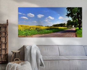 Champ de colza au bord de la route