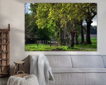 Wandelroute in Gelsenkirchen-Resse