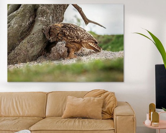 Aperçu de la chambre