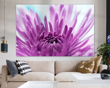 Chrysant dreamy purple van Ivonne Fuhren- van de Kerkhof