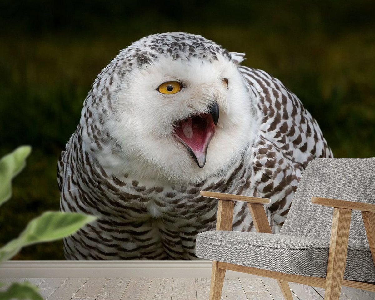 Raumvorschau