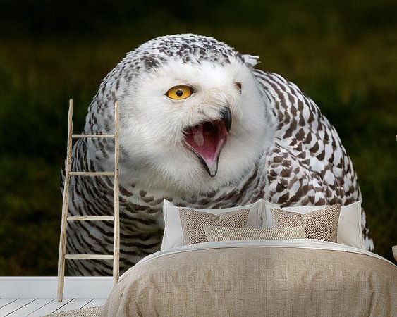 Raumvorschau