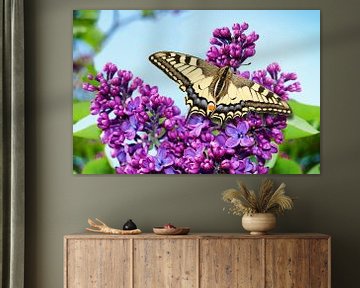 Koninginnepage op vlinderstruik van Ivonne Fuhren- van de Kerkhof