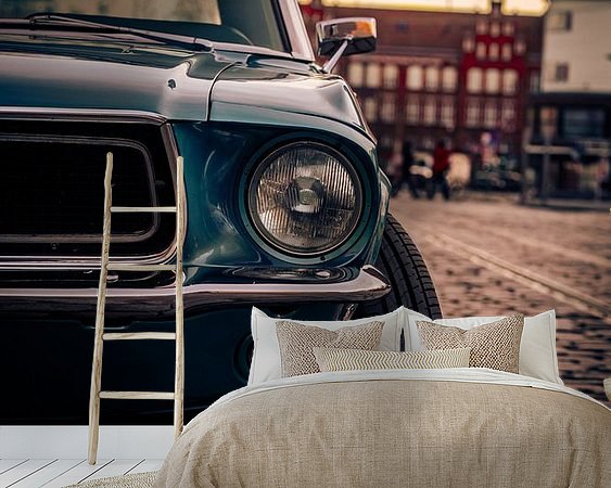 Aperçu de la chambre