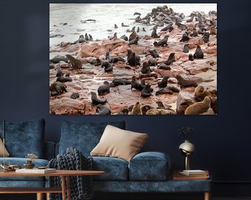 Kolonie zeeleeuwen aan de kust van Namibië van Simone Janssen