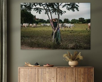 Une femme se repose contre un arbre pendant que du bétail passe par là sur Ayla Maagdenberg