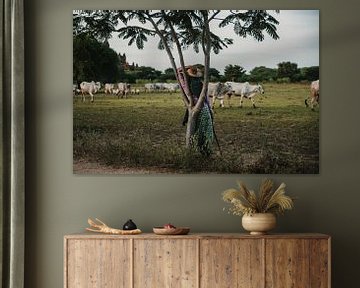 Woman rests against tree as her cattle walk by by Ayla Maagdenberg