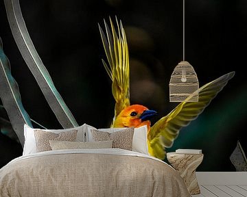 Weaver bird with wings, sitting on a palm leaf by Fotos by Jan Wehnert