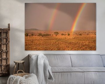 Dubbele regenboog in de Masai Mara steppe van Fotos by Jan Wehnert