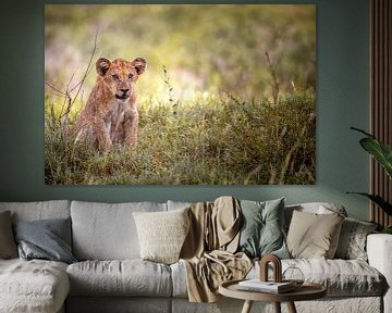 Baby leeuw zittend in de zeldzame regen, de savanne van Afrika, Kenia van Fotos by Jan Wehnert