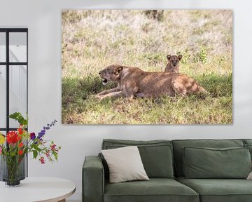 Löwenbaby hinter seiner Löwen Mutter, Kenia Safari von Fotos by Jan Wehnert