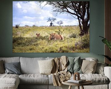 Famille de lions dans la savane du Kenya, Afrique sur Fotos by Jan Wehnert