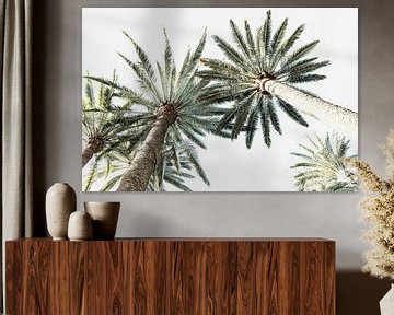 Palmes en couleur. Art numérique. sur Alie Ekkelenkamp