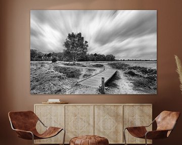 Long Exposure Balloërveld with bridge and floating clouds in black and white by R Smallenbroek