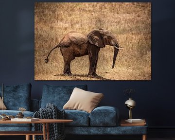 Kleine baby olifant uit Kenia, Safari van Fotos by Jan Wehnert