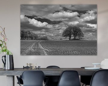 Grave mound between Borger and Drouwen in black and white by R Smallenbroek