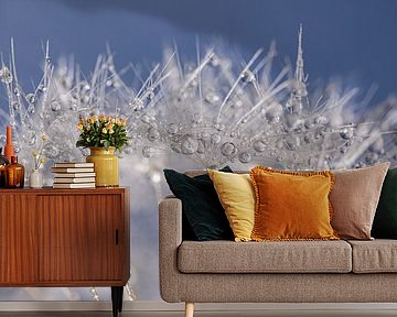 Tropfen auf den weißen Flaum eines Löwenzahns von Marjolijn van den Berg