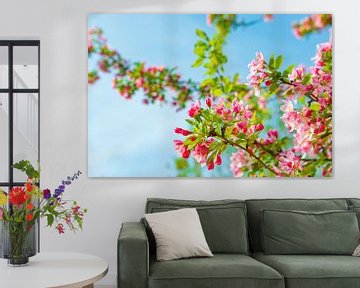 Kirschbaumblüte im Frühling von Sjoerd van der Wal