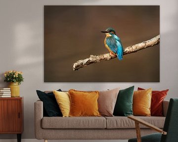 Kingfisher looks back on a branch by KB Design & Photography (Karen Brouwer)