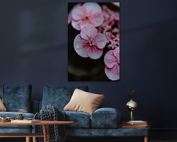 Fine Art Hortensie Makro Foto Blumen von Anouk Strijbos