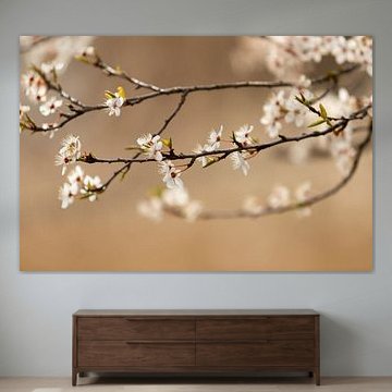 bloemen in Kopenhagen | landelijke stijl | fine art natuur fotoprint