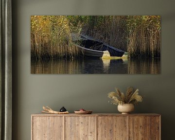 In het riet [breedbeeld foto] van Norbert Sülzner