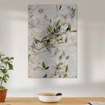 Flying olive leaves I Olive tree