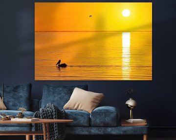 Pélican au lever du soleil en Australie sur Thomas van der Willik