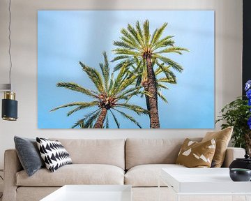 Palmbomen van Sven van Rooijen