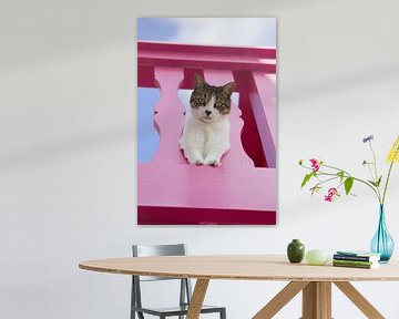 Kat met roze hek van Eva Rusman