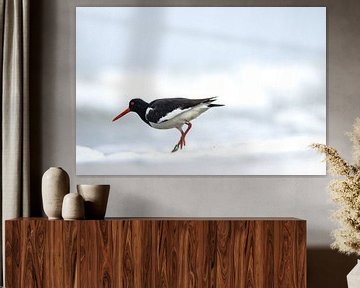 Oystercatcher in the surf. by natascha verbij