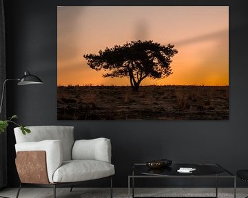 Lonely tree at sunrise van Bernadette de Groot