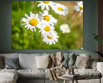 Leuchtende Blumen im Sommer von Bas Fransen