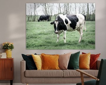 Staande koe in Nederlandse wei van Femke Steigstra